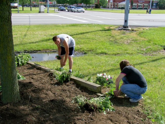 planting.jpg