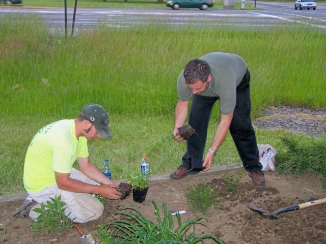 finishingupontheplanting.jpg