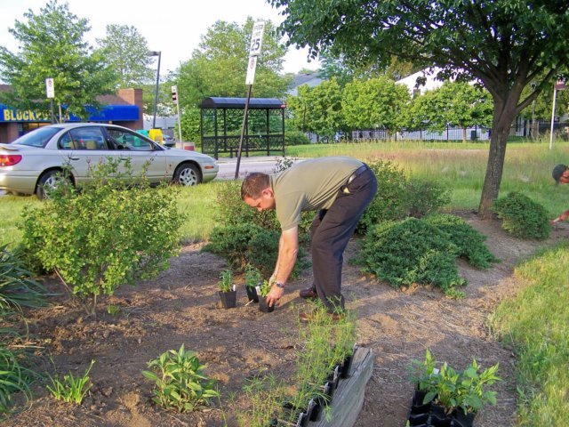 layingouttheflowersforplanting.jpg